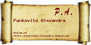 Pankovits Alexandra névjegykártya